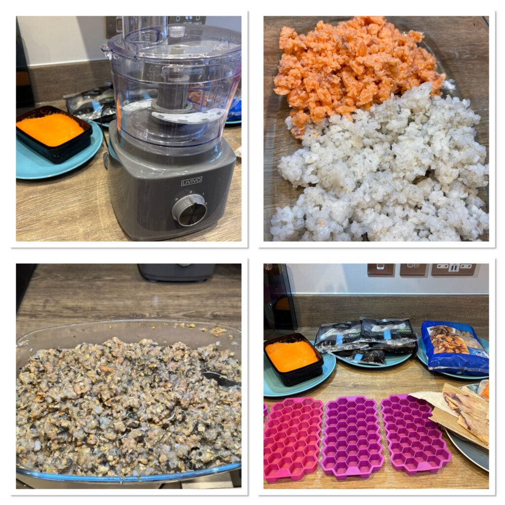 DIY FISH FOOD Food Processor