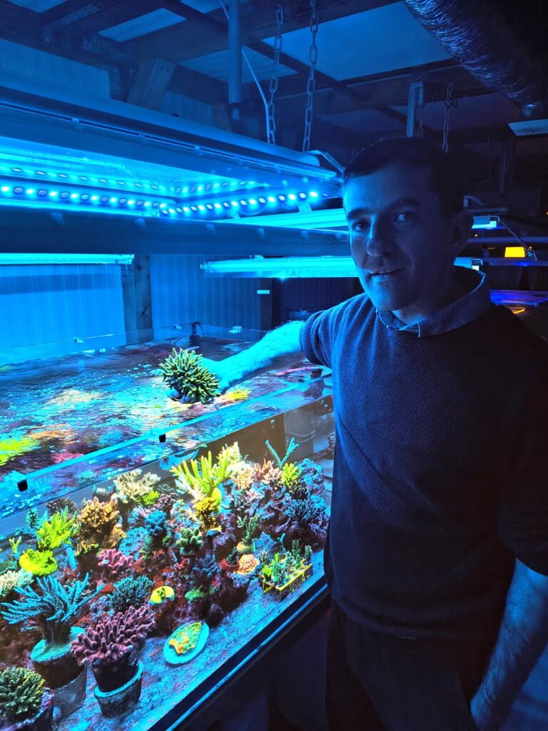 ACROKINGDOM coral farm
