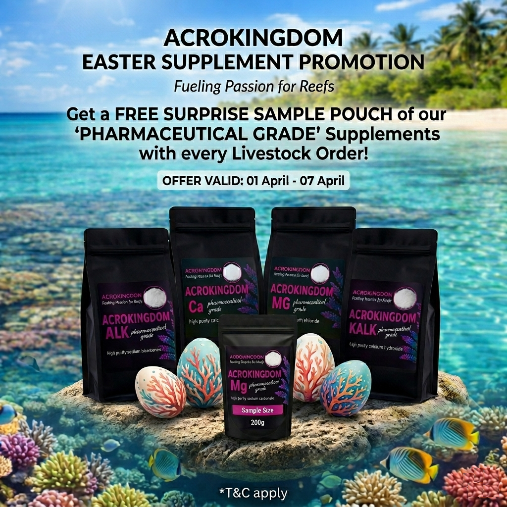 Easter promotion