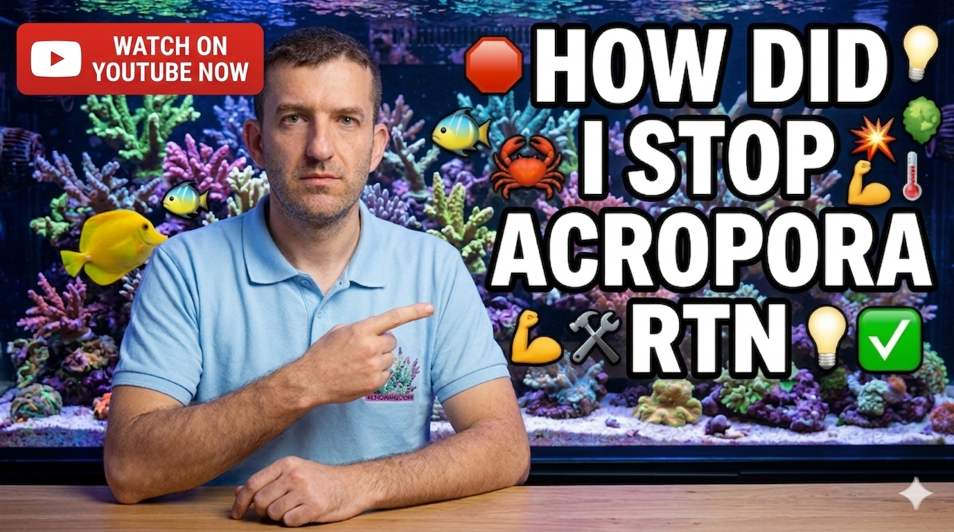 A man in a blue polo shirt points his finger at a colorful reef aquarium. Red YouTube banner on the top left. White bold text reads 'HOW DID I STOP ACROPORA RTN' with descriptive emojis.