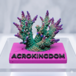 A 3D printed pink and black frag base featuring the ACROKINGDOM logo with a vibrant Acropora coral mounted on top.
