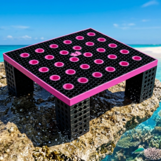 ACROKINGDOM 3D printed pink and black coral frag rack resting on a rock by the ocean