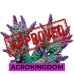 ACROKINGDOM logo featuring an Acropora coral with a red Approved stamp seal for tested marine aquarium supplies